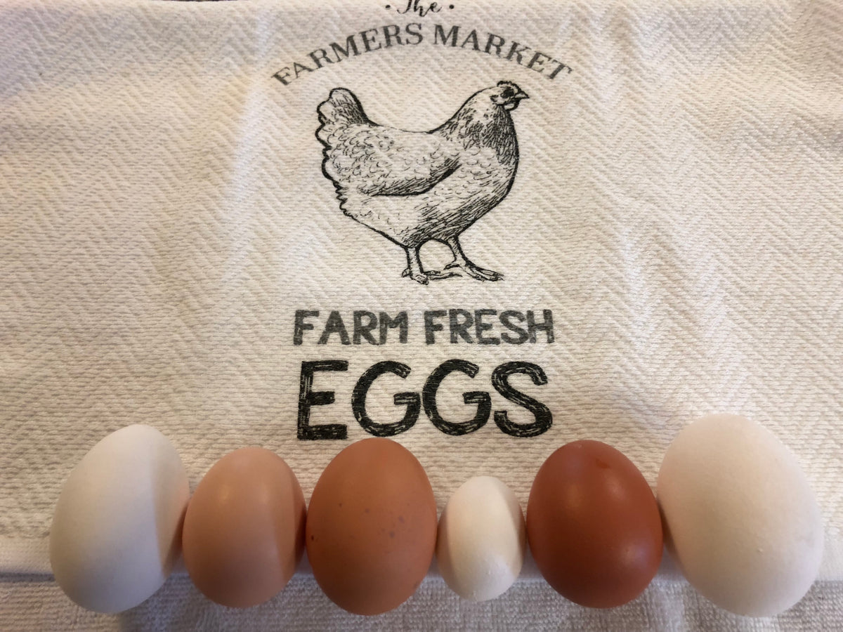 One dozen eggs – La Gorra Azul Ranch