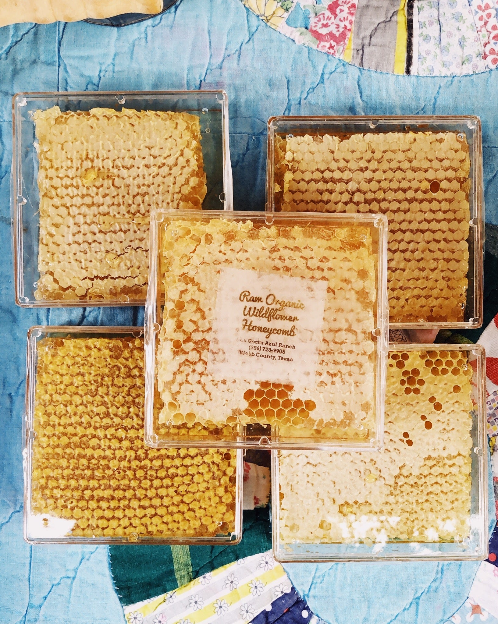 Honeycomb (Cut Comb Raw Local Honey) - La Gorra Azul Ranch